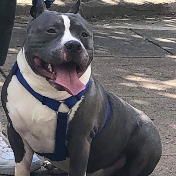 Meet your Posher, James - Picture 1 of 1